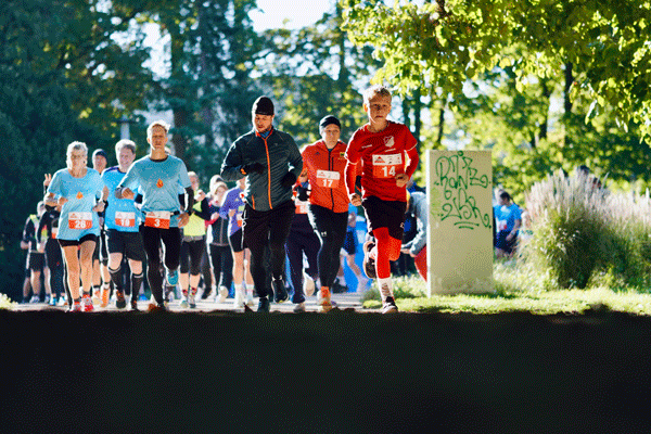 Gruppe von Menschen bei einer Sport- oder Laufveranstaltung