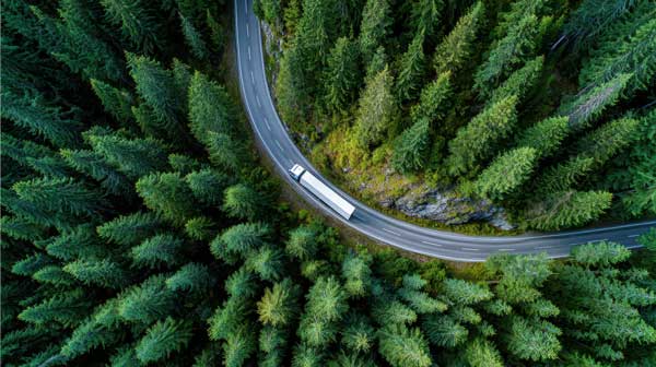 Ein-LKW-der-zwischen-einem-Wald-auf-einer-gepflasterten-Straße-fährt